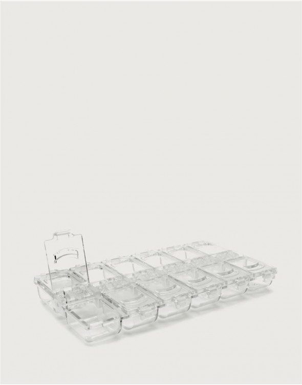 Organizador