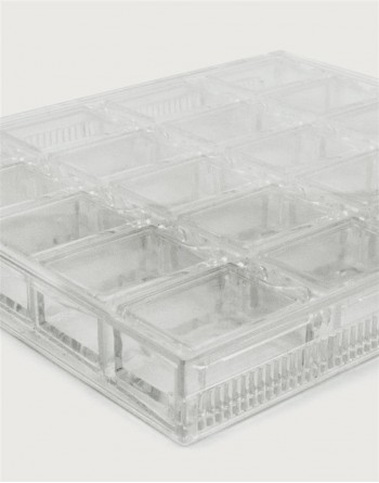 Organizador