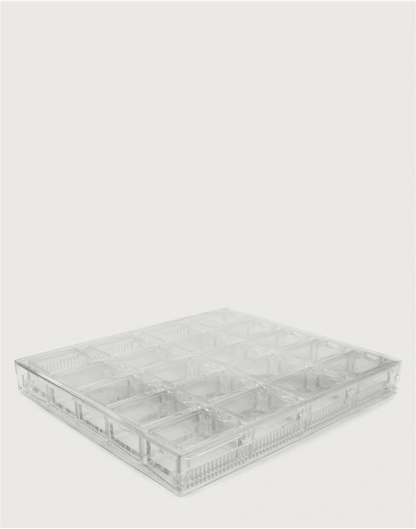 Organizador